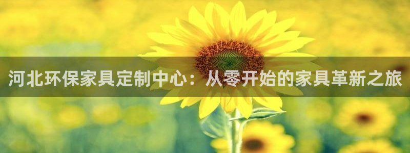 沐鸣代理主管qq：河北环保家具定制中心：从零开始的家具革新之