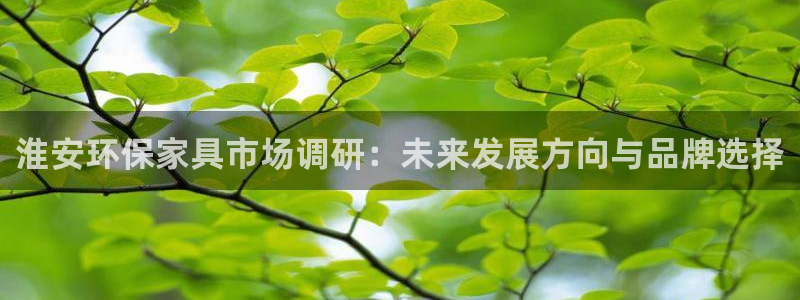 沐鸣代理登录中心：淮安环保家具市场调研：未来发展方向与品牌选