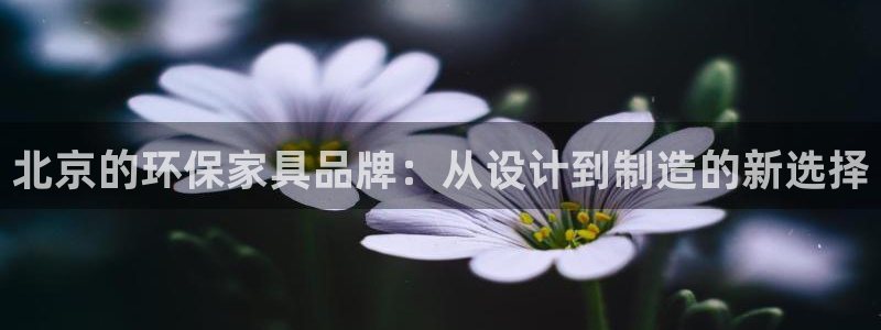 沐鸣总代：北京的环保家具品牌：从设计到制造的新选择