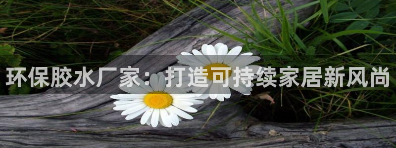 沐鸣平台首页登录：环保胶水厂家：打造可持续家居新风尚
