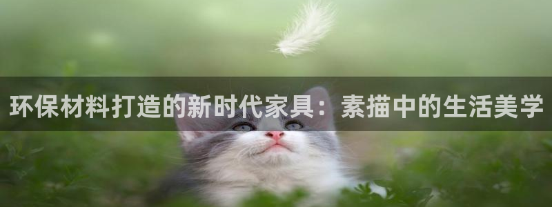 沐鸣注册开户：环保材料打造的新时代家具：素描中的生活美学