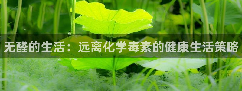 沐鸣是什么平台