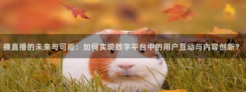 黑白直播体育app：裸直播的未来与可能：如何实现数字平台中的用户互动与内容创新？