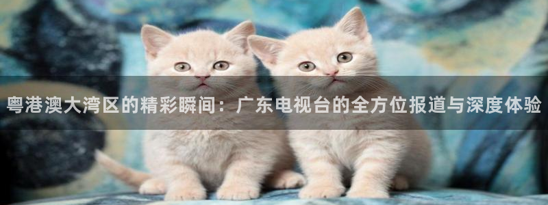 9球直播足球赛事直播黑白：粤港澳大湾区的精彩瞬间：广东电视台的全方位报道与深度体验