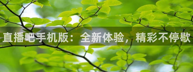 黑白直播体育直播app下载：直播吧手机版：全新体验，精彩不停歇