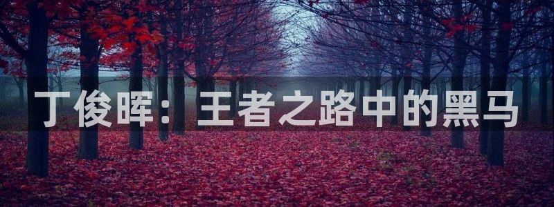 黑白篮球直播官网：丁俊晖：王者之路中的黑马