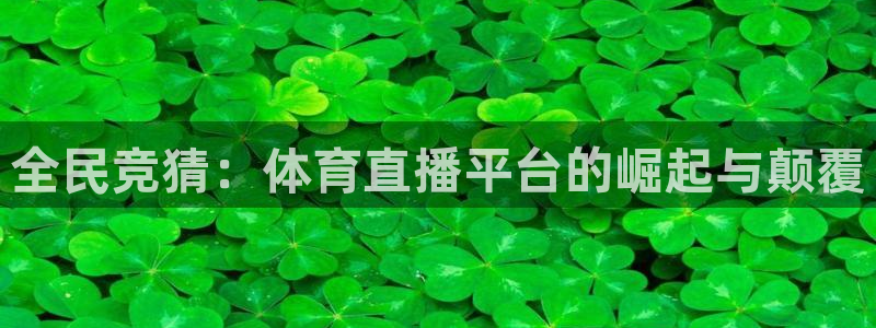 足球黑白直播：全民竞猜：体育直播平台的崛起与颠覆