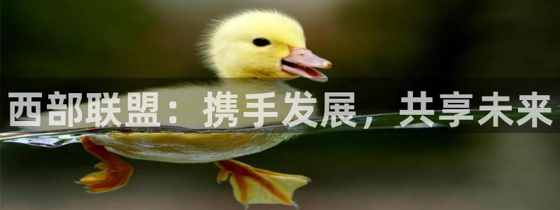 nba黑白体育：西部联盟：携手发展，共享未来
